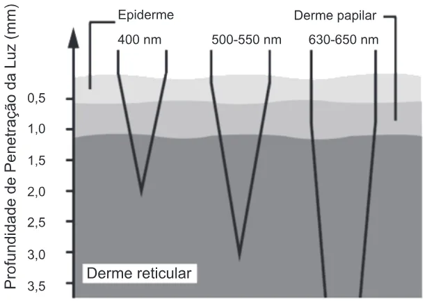 Trecho original com figura, tabela ou fórmula da questão 55 do ENEM 2012 - 1º Dia - Caderno 3 - Branco – Reaplicação/PPL.
