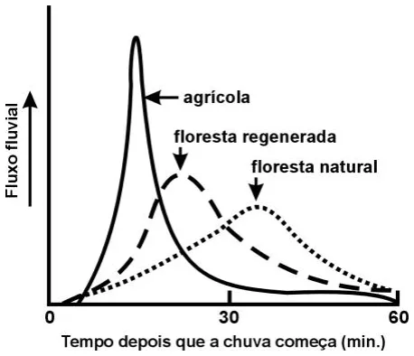 Trecho original com figura, tabela ou fórmula da questão 22 do ENEM 2000 - Caderno Amarelo.