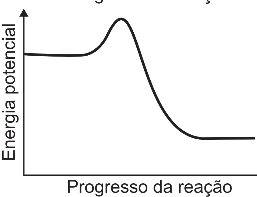 Alternativa E da questão 118 do ENEM 2021 - 2º Dia – Caderno 5 – Amarelo (Superampliada) – Reaplicação/PPL/Segunda Oportunidade.