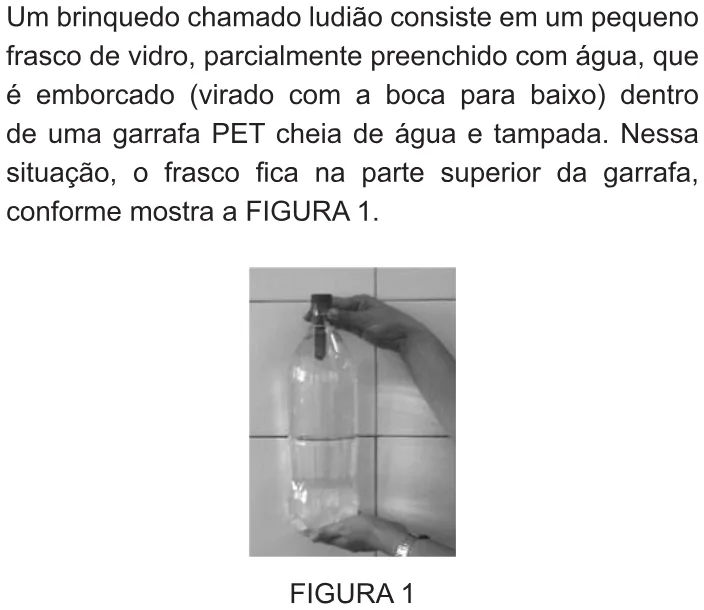 Trecho original com figura, tabela ou fórmula da questão 66 do ENEM 2010 - 1º Dia – Caderno 2 – Amarelo – Reaplicação/PPL.