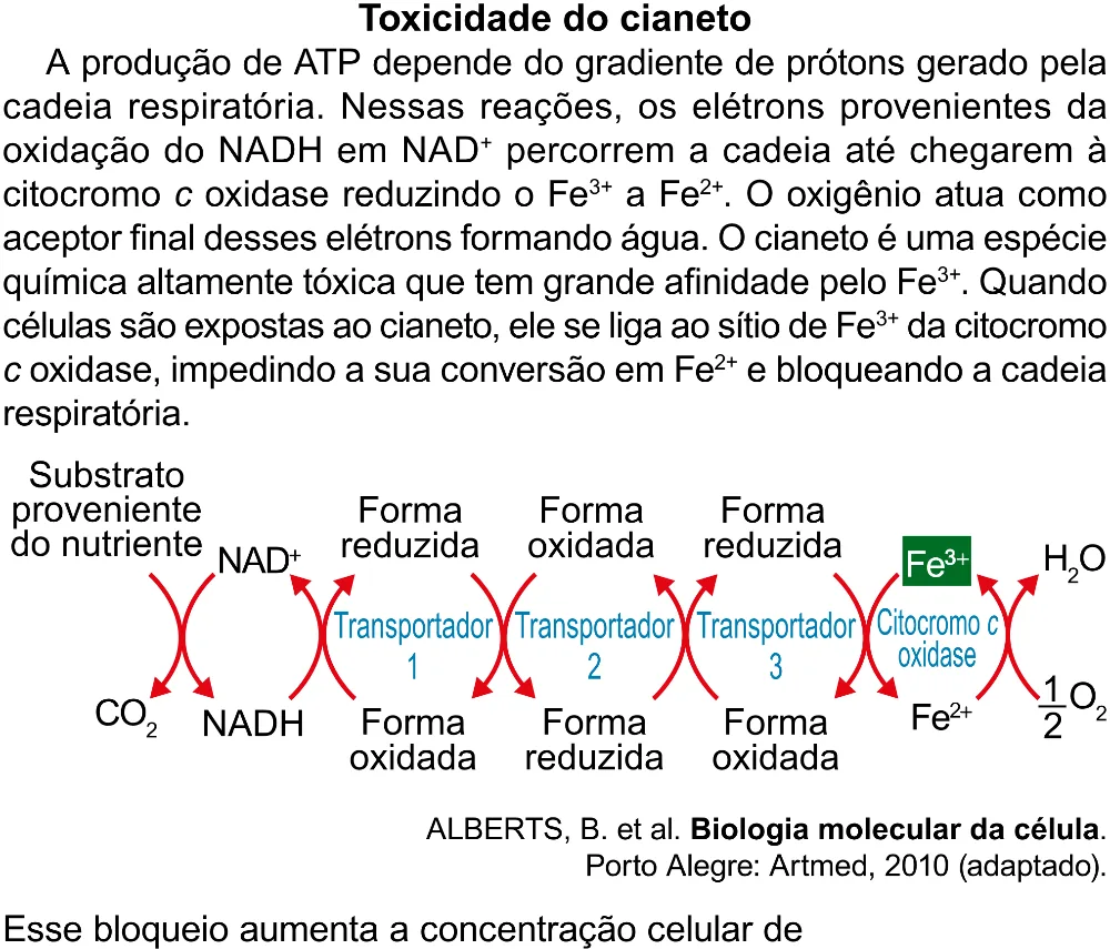 Trecho original com figura, tabela ou fórmula da questão 101 do ENEM 2023 - 2º Dia – Caderno 12 – Verde (Libras) – Aplicação Regular - (Superampliada).