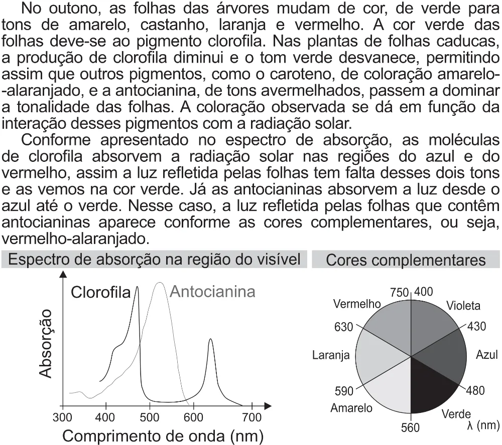 Trecho original com figura, tabela ou fórmula da questão 115 do ENEM 2021 - 2º Dia – Caderno 5 – Amarelo (Superampliada) – Aplicação Regular.