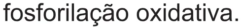 Alternativa E da questão 118 do ENEM 2021 - 2º Dia – Caderno 5 – Amarelo (Ampliada) – Aplicação Regular.