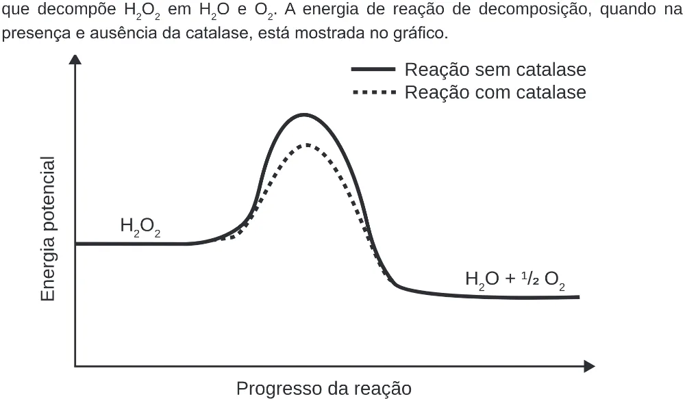 Trecho original com figura, tabela ou fórmula da questão 127 do ENEM 2020 - 2º Dia – Caderno 8 – Rosa (Ampliada) – Reaplicação/PPL.