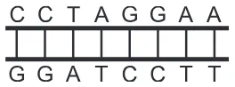 Alternativa E da questão 132 do ENEM 2017 - 2º Dia - Caderno 5 - Amarelo – Aplicação regular.