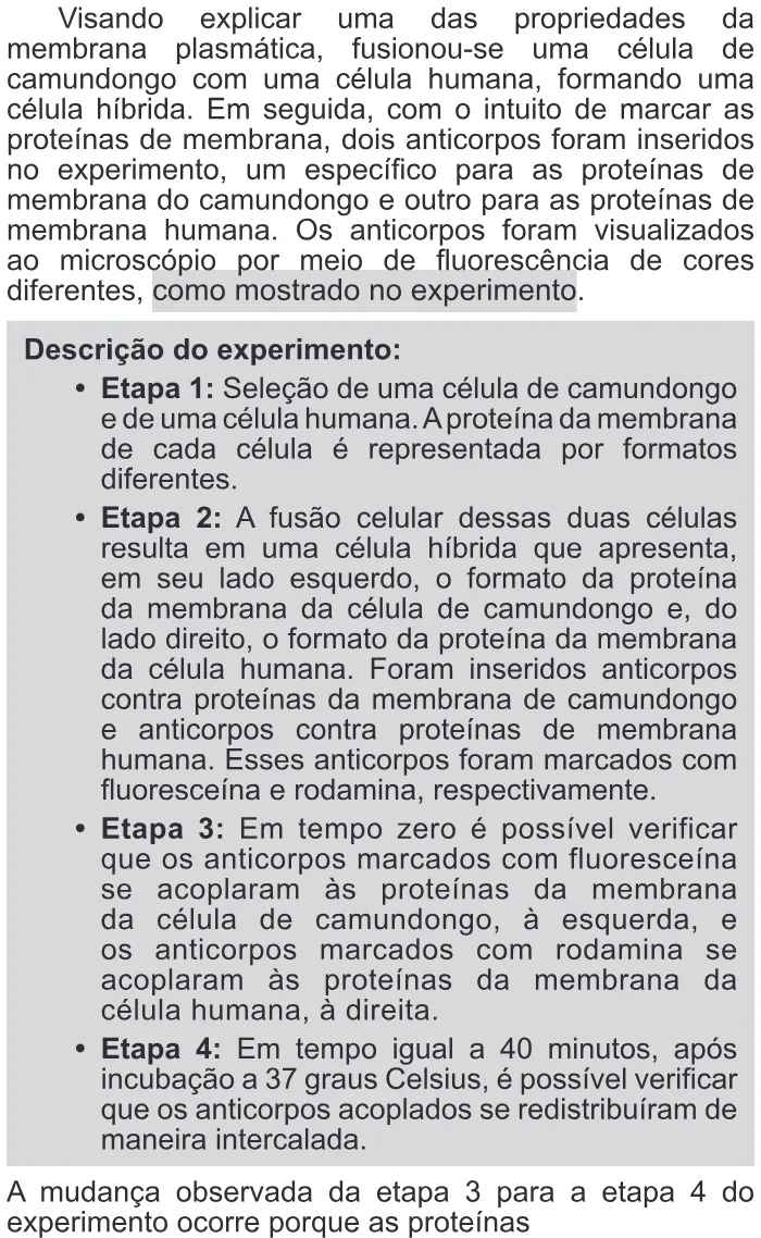 Trecho original com figura, tabela ou fórmula da questão 98 do ENEM 2017 - 2º Dia - Caderno 11 – Laranja (Braile e ledor) – Aplicação regular.