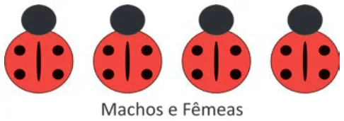 Alternativa C da questão 107 do ENEM 2025 - 2º Dia – Caderno 7 – Azul – Aplicação Regular.