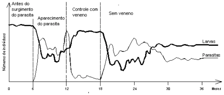 Trecho original com figura, tabela ou fórmula da questão 28 do ENEM 2001 - Caderno Amarelo.