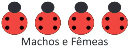 Alternativa A da questão 101 do ENEM 2025 - 2º Dia – Caderno 12 – Roxo (Libras) – Aplicação Regular - (Ampliada).