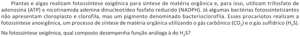 Trecho original com figura, tabela ou fórmula da questão 115 do ENEM 2025 - 2º Dia – Caderno 11 – Laranja (Braile e ledor) – Aplicação Regular - (Ledor).