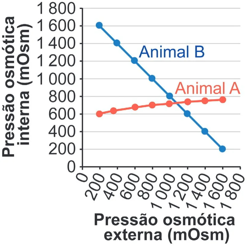 Gráfico da alternativa C da questão 105 do ENEM 2024.