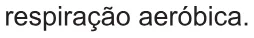 Alternativa D da questão 118 do ENEM 2021 - 2º Dia – Caderno 12 – Verde (Libras) – Aplicação Regular.