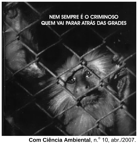 Trecho original com figura, tabela ou fórmula da questão 6 do ENEM 2007 - Caderno Amarelo.