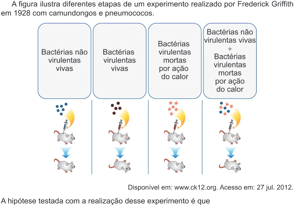 Trecho original com figura, tabela ou fórmula da questão 127 do ENEM 2024 - 2º Dia – Caderno 8 – Verde (Ampliada) – Reaplicação/PPL.