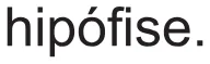 Alternativa D da questão 108 do ENEM 2021 - 2º Dia – Caderno 5 – Amarelo (Ampliada) – Reaplicação/PPL/Segunda Oportunidade.