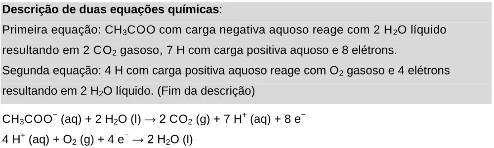 Trecho original com figura, tabela ou fórmula da questão 106 do ENEM 2024 - 2º Dia – Caderno 11 – Laranja (braile e ledor) – Aplicação Regular - Leitor de tela (NVDA).