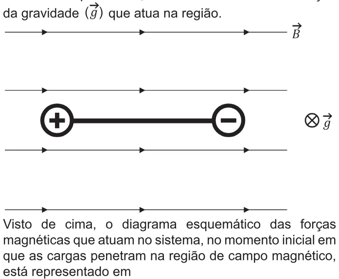 Trecho original com figura, tabela ou fórmula da questão 108 do ENEM 2021 - 2º Dia – Caderno 6 – Cinza – Aplicação Regular.
