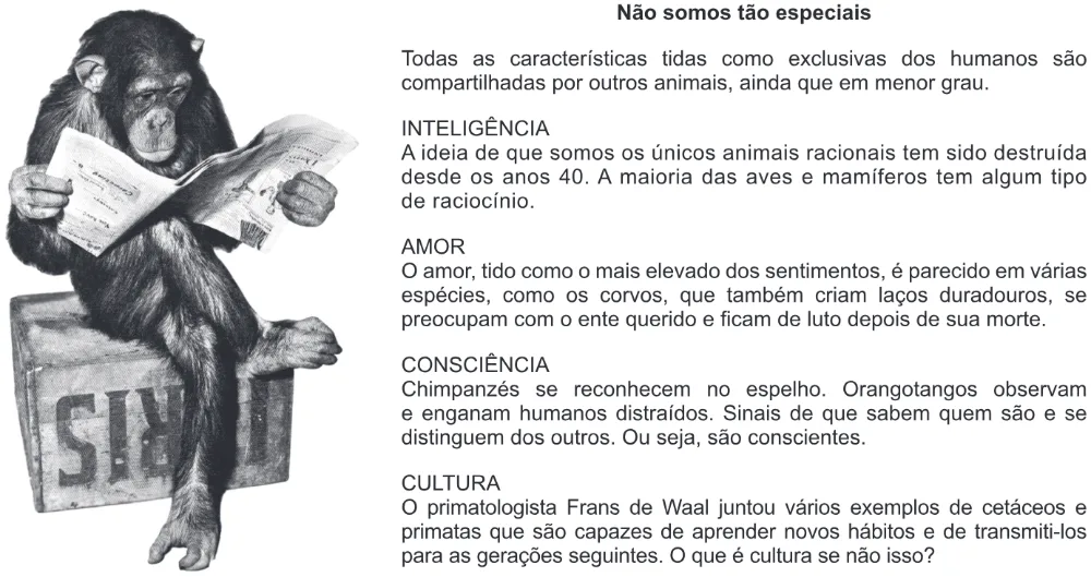 Trecho original com figura, tabela ou fórmula da questão 100 do ENEM 2012 - 2º Dia - Caderno 5 - Amarelo – Aplicação regular.