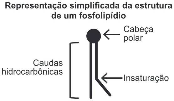 Trecho original com figura, tabela ou fórmula da questão 116 do ENEM 2019 - 2º Dia – Caderno 7 – Azul – Aplicação Regular.