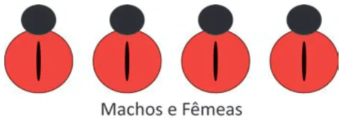 Alternativa B da questão 101 do ENEM 2025 - 2º Dia – Caderno 6 – Cinza – Aplicação Regular.