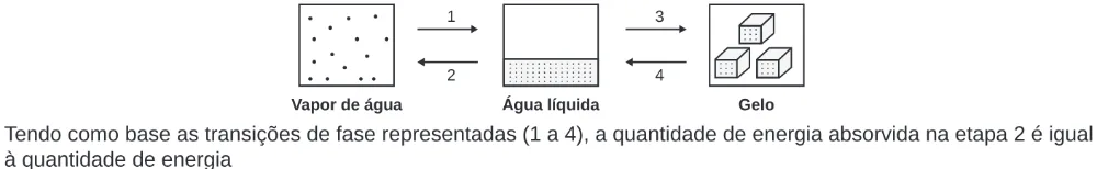 Trecho original com figura, tabela ou fórmula da questão 93 do ENEM 2020 - 2º Dia – Caderno 5 – Amarelo – Reaplicação/PPL.