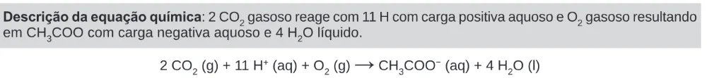 Alternativa E da questão 106 do ENEM 2024 - 2º Dia – Caderno 11 – Laranja (braile e ledor) – Aplicação Regular.