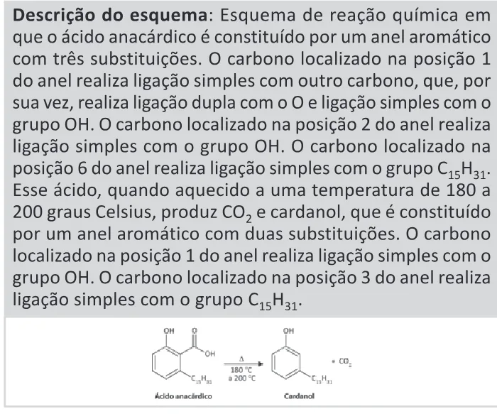 Trecho original com figura, tabela ou fórmula da questão 103 do ENEM 2025 - 2º Dia – Caderno 11 – Laranja (Braile e ledor) – Aplicação Regular - (Ledor).