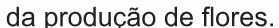 Alternativa A da questão 95 do ENEM 2021 - 2º Dia – Caderno 11 – Laranja (braile e ledor) – Aplicação Regular.