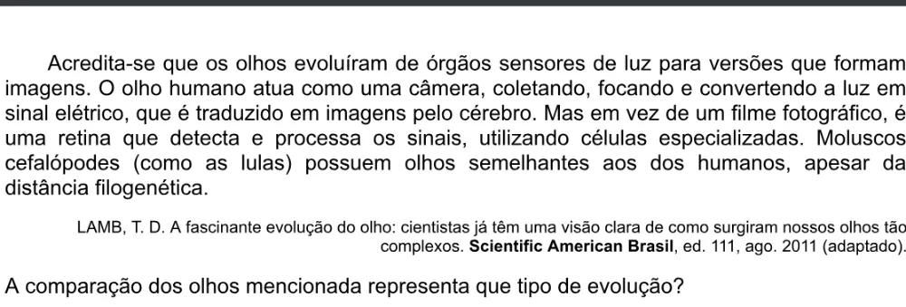 Trecho original com figura, tabela ou fórmula da questão 104 do ENEM 2020 - 2º Dia - Caderno 5 – Amarelo – Aplicação digital.