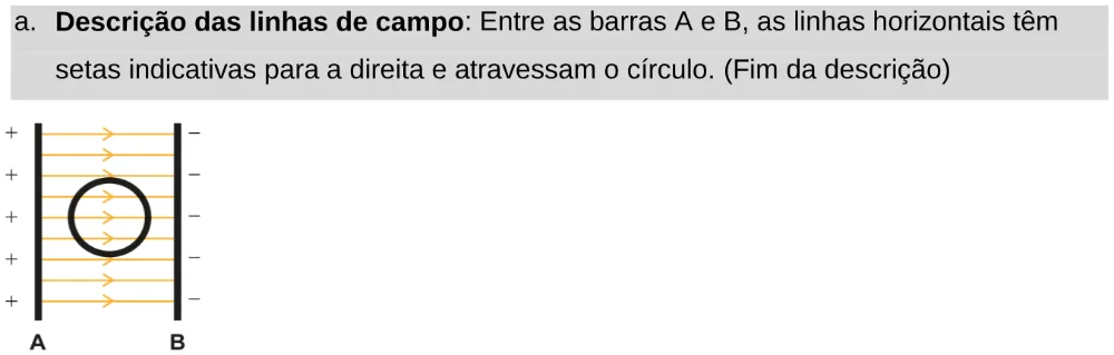 Alternativa A da questão 128 do ENEM 2024 - 2º Dia – Caderno 11 – Laranja (braile e ledor) – Aplicação Regular - Leitor de tela (NVDA).