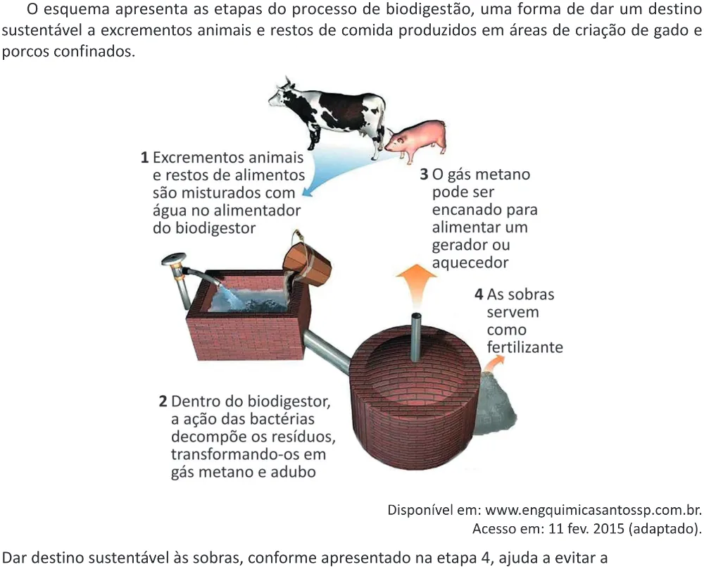 Trecho original com figura, tabela ou fórmula da questão 105 do ENEM 2025 - 2º Dia – Caderno 12 – Roxo (Libras) – Aplicação Regular - (Ampliada).