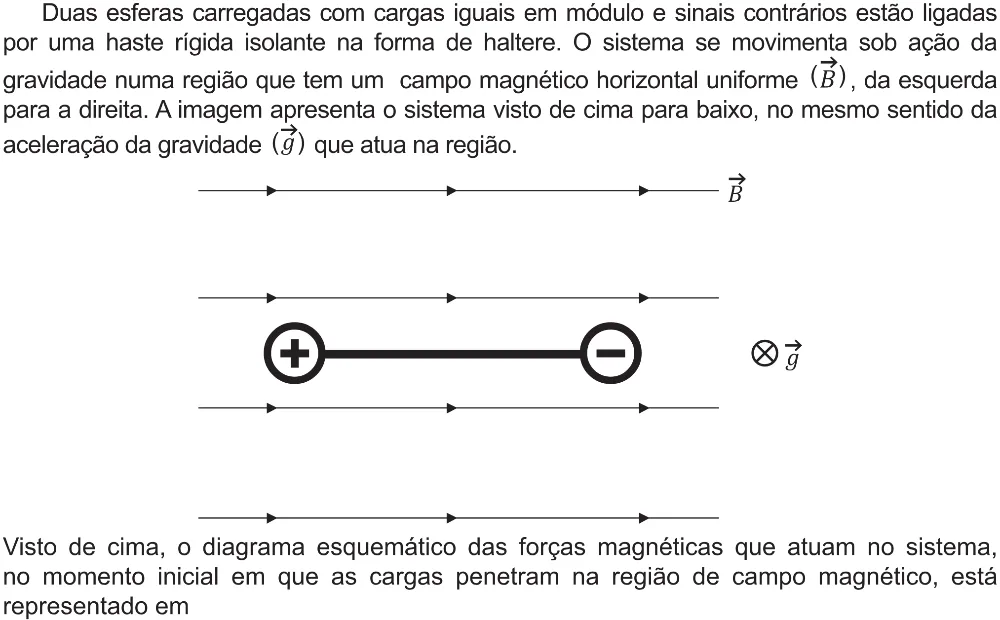 Trecho original com figura, tabela ou fórmula da questão 121 do ENEM 2021 - 2º Dia – Caderno 5 – Amarelo (Ampliada) – Aplicação Regular.