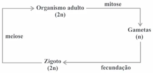 Alternativa D da questão 21 do ENEM 2009 - 1º Dia - Caderno 1 - Azul.