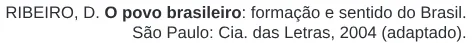 Trecho original com figura, tabela ou fórmula da questão 52 do ENEM 2020 - 1º Dia – Caderno 4 – Rosa – Reaplicação/PPL.