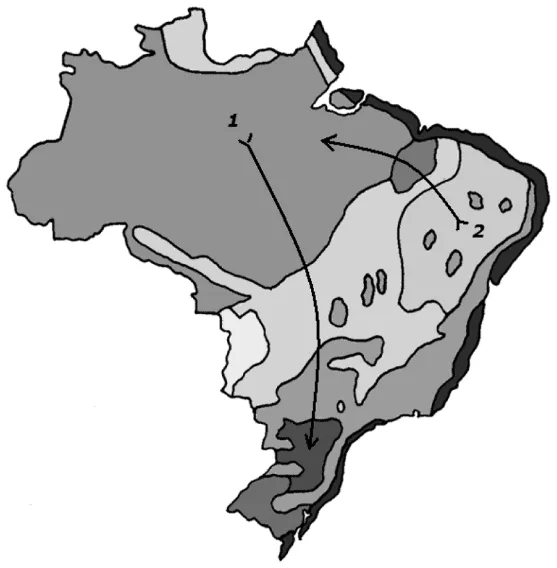 Trecho original com figura, tabela ou fórmula da questão 78 do ENEM 2010 - Dia 1 - Caderno 3 - Branco – Aplicação regular.