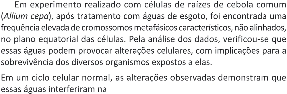 Trecho original com figura, tabela ou fórmula da questão 105 do ENEM 2025 - 2º Dia – Caderno 11 – Laranja (Braile e ledor) – Aplicação Regular - (Superampliada) - Belém, Ananindeua e Marituba.