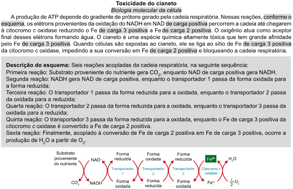 Trecho original com figura, tabela ou fórmula da questão 101 do ENEM 2023 - 2º Dia – Caderno 11 – Laranja (braile e ledor) – Aplicação Regular.