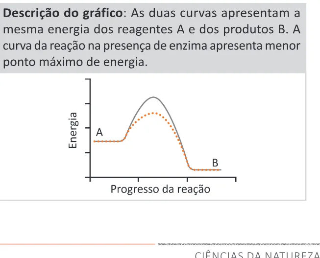 Alternativa C da questão 133 do ENEM 2025 - 2º Dia – Caderno 11 – Laranja (Braile e ledor) – Aplicação Regular - (Ledor).