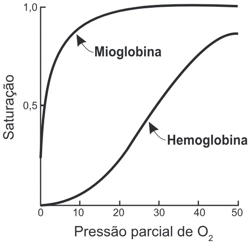 Trecho original com figura, tabela ou fórmula da questão 114 do ENEM 2019 - 2º Dia – Caderno 5 – Amarelo – Reaplicação/PPL.