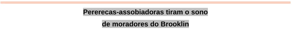Trecho original com figura, tabela ou fórmula da questão 134 do ENEM 2024 - 2º Dia – Caderno 11 – Laranja (braile e ledor) – Aplicação Regular - Leitor de tela (NVDA).