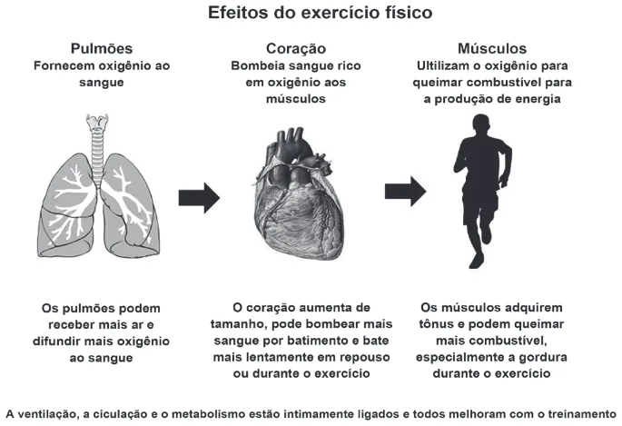 Trecho original com figura, tabela ou fórmula da questão 132 do ENEM 2012 - 2º Dia - Caderno 5 - Amarelo – Aplicação regular.