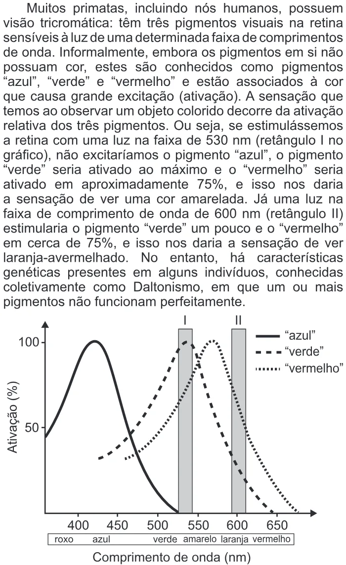 Trecho original com figura, tabela ou fórmula da questão 91 do ENEM 2018 - 2º Dia - Caderno 6 - Cinza – Aplicação regular.