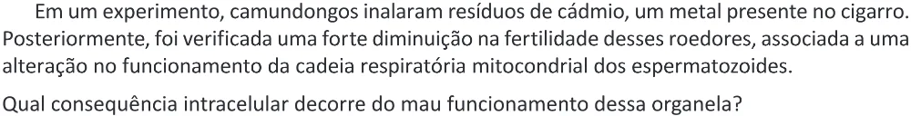 Trecho original com figura, tabela ou fórmula da questão 107 do ENEM 2025 - 2º Dia – Caderno 11 – Laranja (Braile e ledor) – Reaplicação - (Ampliada).