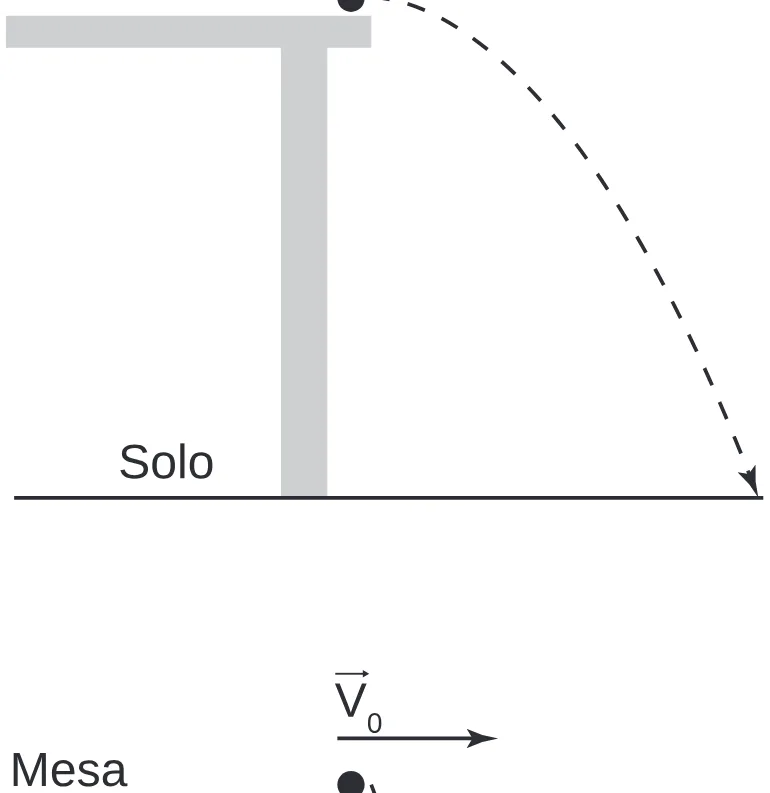 Alternativa D da questão 102 do ENEM 2020 - 2º Dia - Caderno 8 – Rosa (Ampliada) – Aplicação Regular.