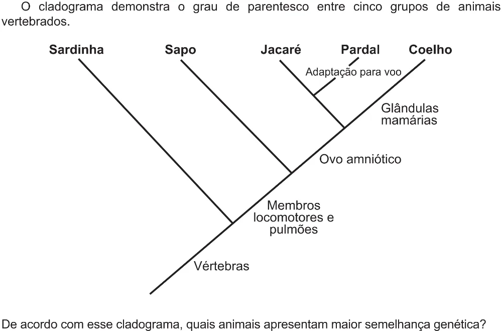 Trecho original com figura, tabela ou fórmula da questão 110 do ENEM 2021 - 2º Dia – Caderno 5 – Amarelo (Ampliada) – Reaplicação/PPL/Segunda Oportunidade.
