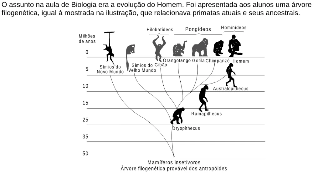 Texto, tabela ou figura de apoio para a questão 25 do ENEM 1998.