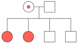 Alternativa E da questão 93 do ENEM 2024 - 2º Dia – Caderno 12 – Roxo (Libras) – Aplicação Regular.