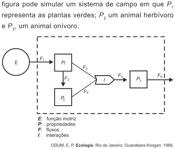 Trecho original com figura, tabela ou fórmula da questão 67 do ENEM 2012 - 1º Dia - Caderno 3 - Branco – Aplicação regular.
