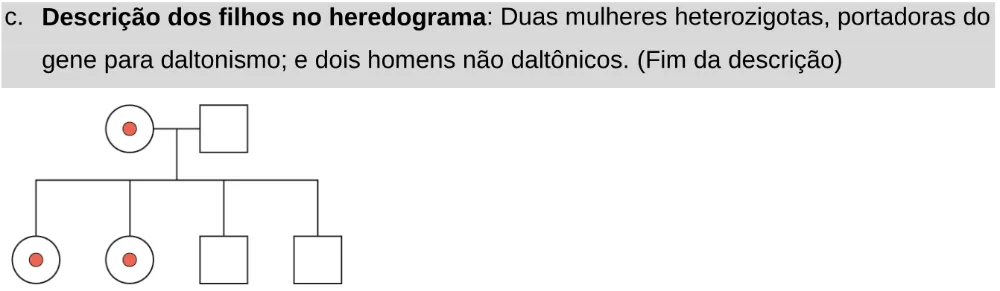 Alternativa C da questão 93 do ENEM 2024 - 2º Dia – Caderno 11 – Laranja (braile e ledor) – Aplicação Regular - Leitor de tela (NVDA).