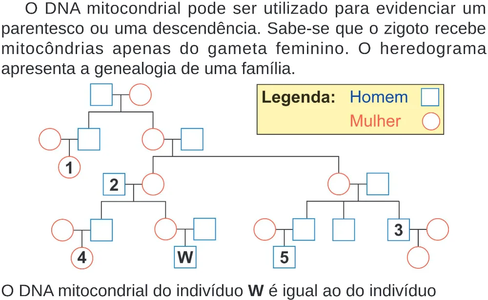 Trecho original com figura, tabela ou fórmula da questão 106 do ENEM 2024 - 2º Dia – Caderno 8 – Verde (Superampliada) – Reaplicação/PPL.